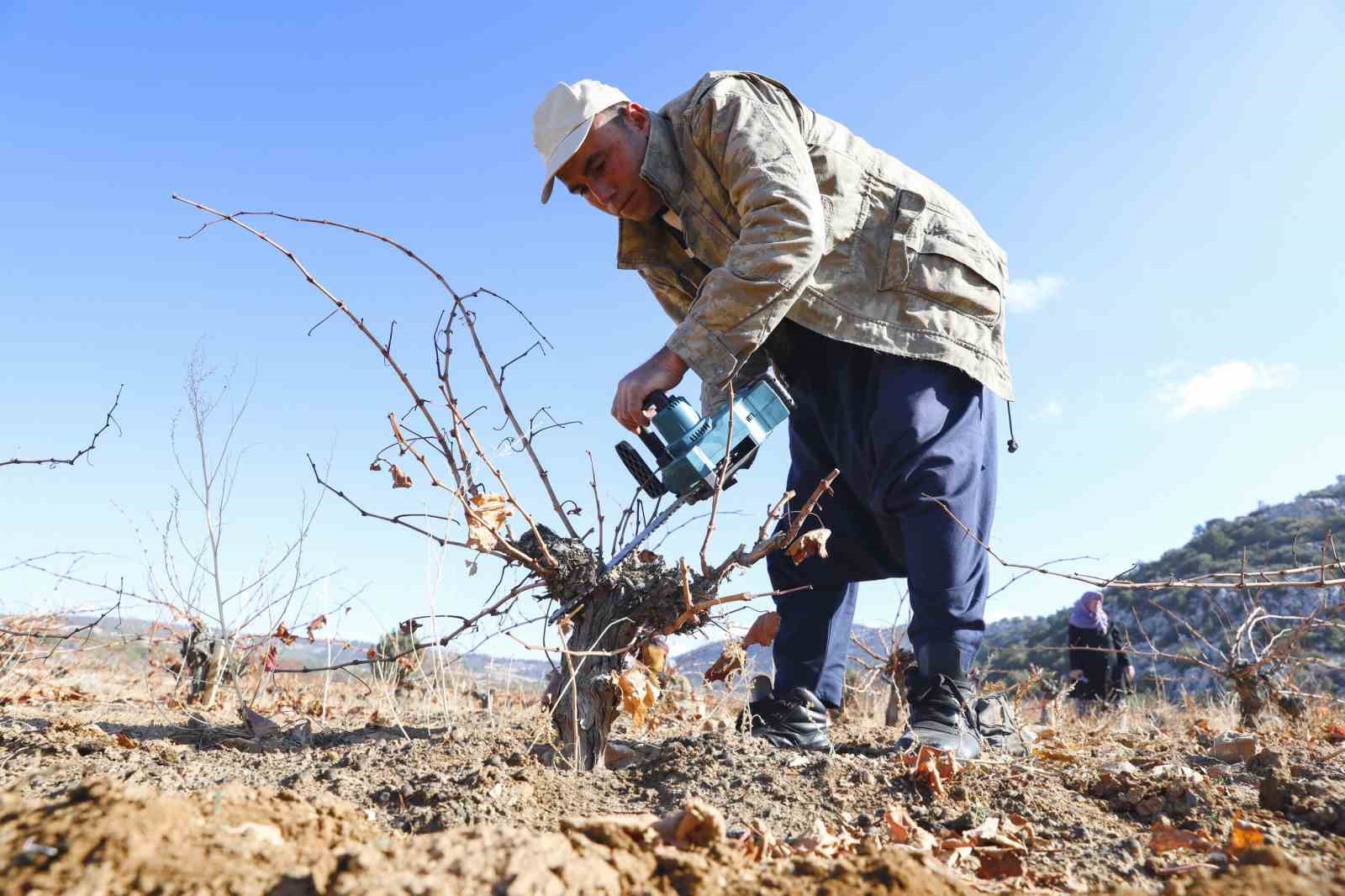 Mersin’de organik tarım desteğiyle üretim doğallaşıyor
Mersin’de organik tarım desteğiyle üretim doğallaşıyor
