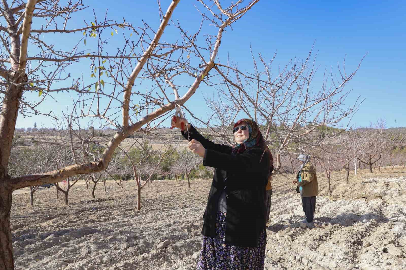 Mersin’de organik tarım desteğiyle üretim doğallaşıyor
Mersin’de organik tarım desteğiyle üretim doğallaşıyor