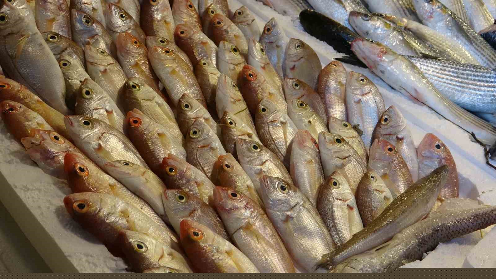 Mersin’de Ramazan’da balık fiyatları düştü, satışlar arttı
