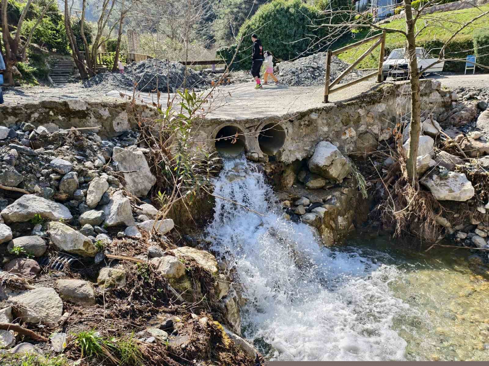 Mesir Tabiat Parkı’na ziyaretçi akını

