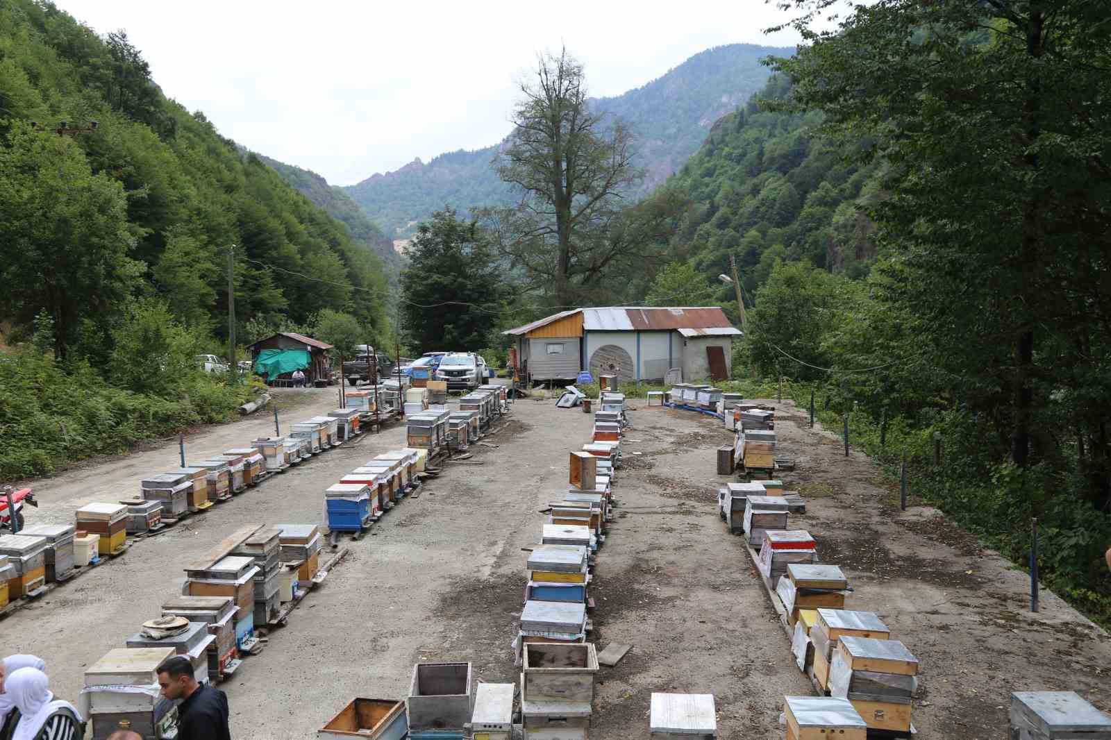 Mevsim normallerinin altında seyreden hava sıcaklığı arıcıları vurdu, uzmanlardan kritik uyarı
