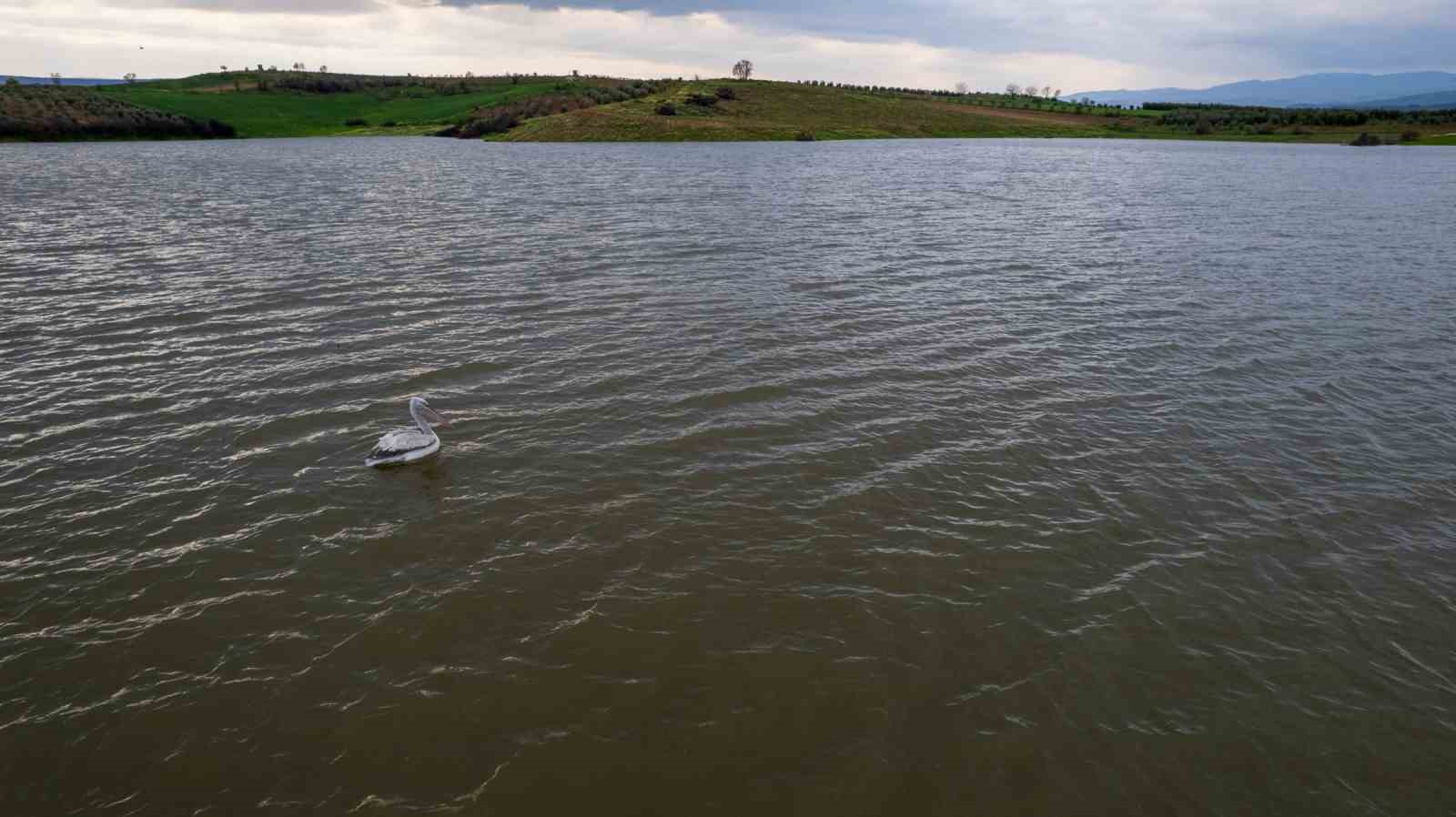 Mevsim normallerinin üzerindeki yağışlar balıkçılara umut oldu
