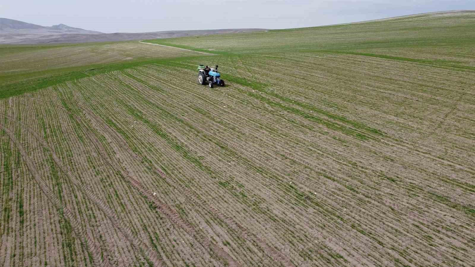 Mevsim yağmurları öncesi çiftçiler gübre mesaisine başladı
