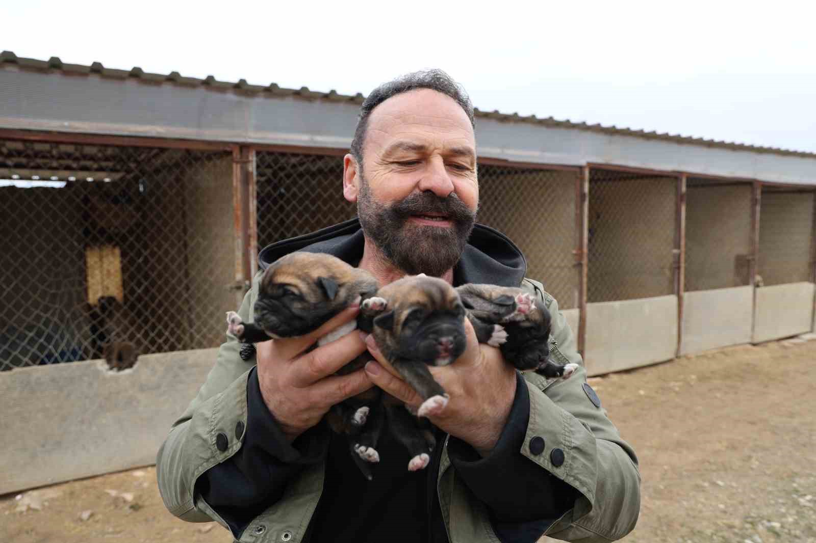 Mevsimin ilk kangalları dünyaya gözlerini açtı, karakterleri böyle ortaya çıkıyor
