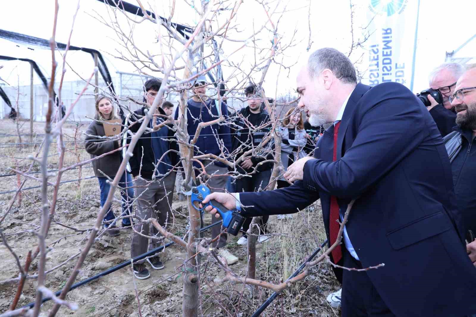 Meyve ağaçlarında doğru budama yöntemleri öğretildi
Meyve ağaçlarında doğru budama yöntemleri öğretildi