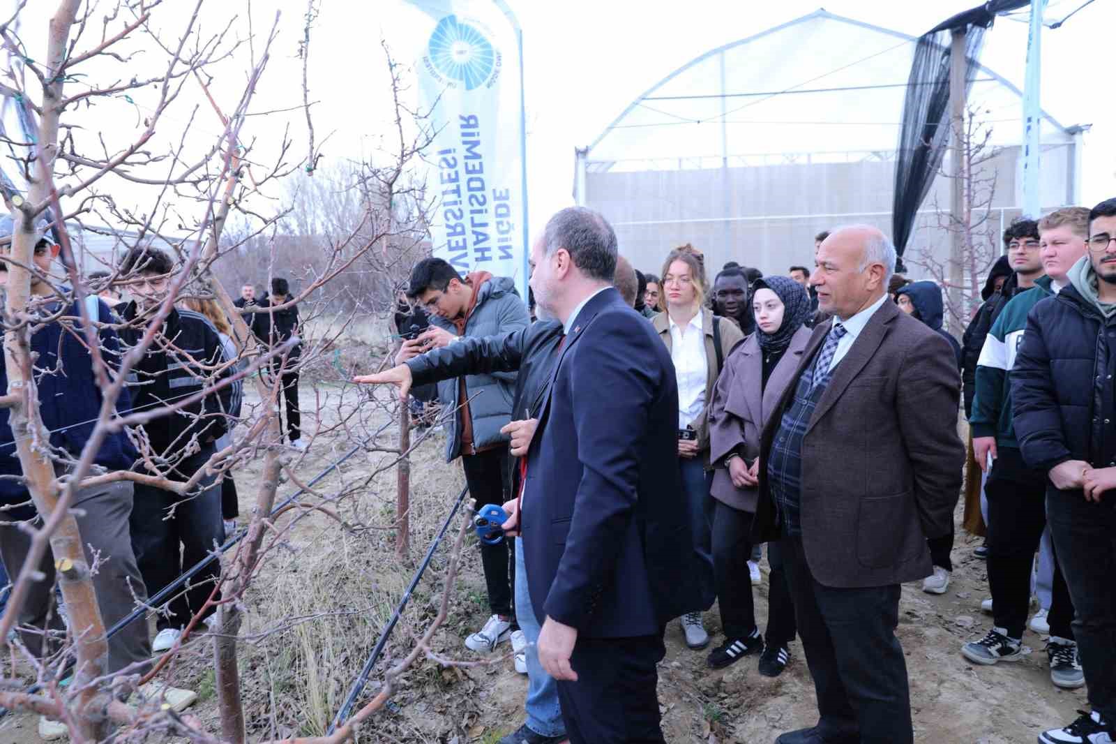 Meyve ağaçlarında doğru budama yöntemleri öğretildi
Meyve ağaçlarında doğru budama yöntemleri öğretildi