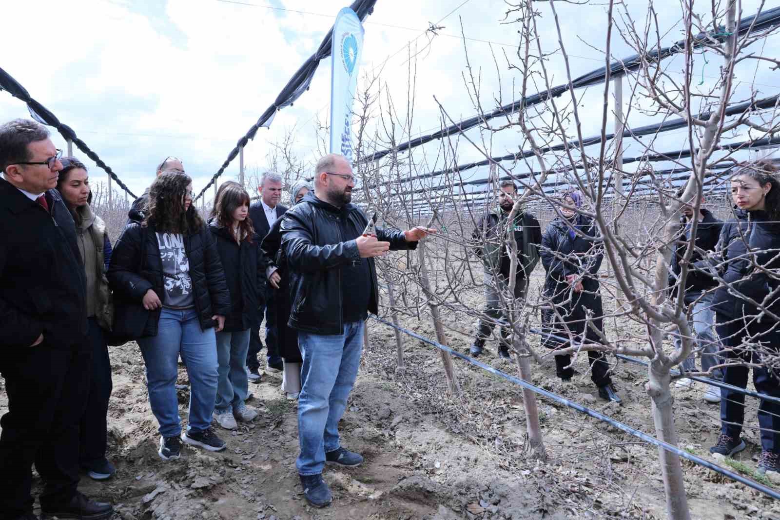 Meyve ağaçlarında doğru budama yöntemleri öğretildi
Meyve ağaçlarında doğru budama yöntemleri öğretildi