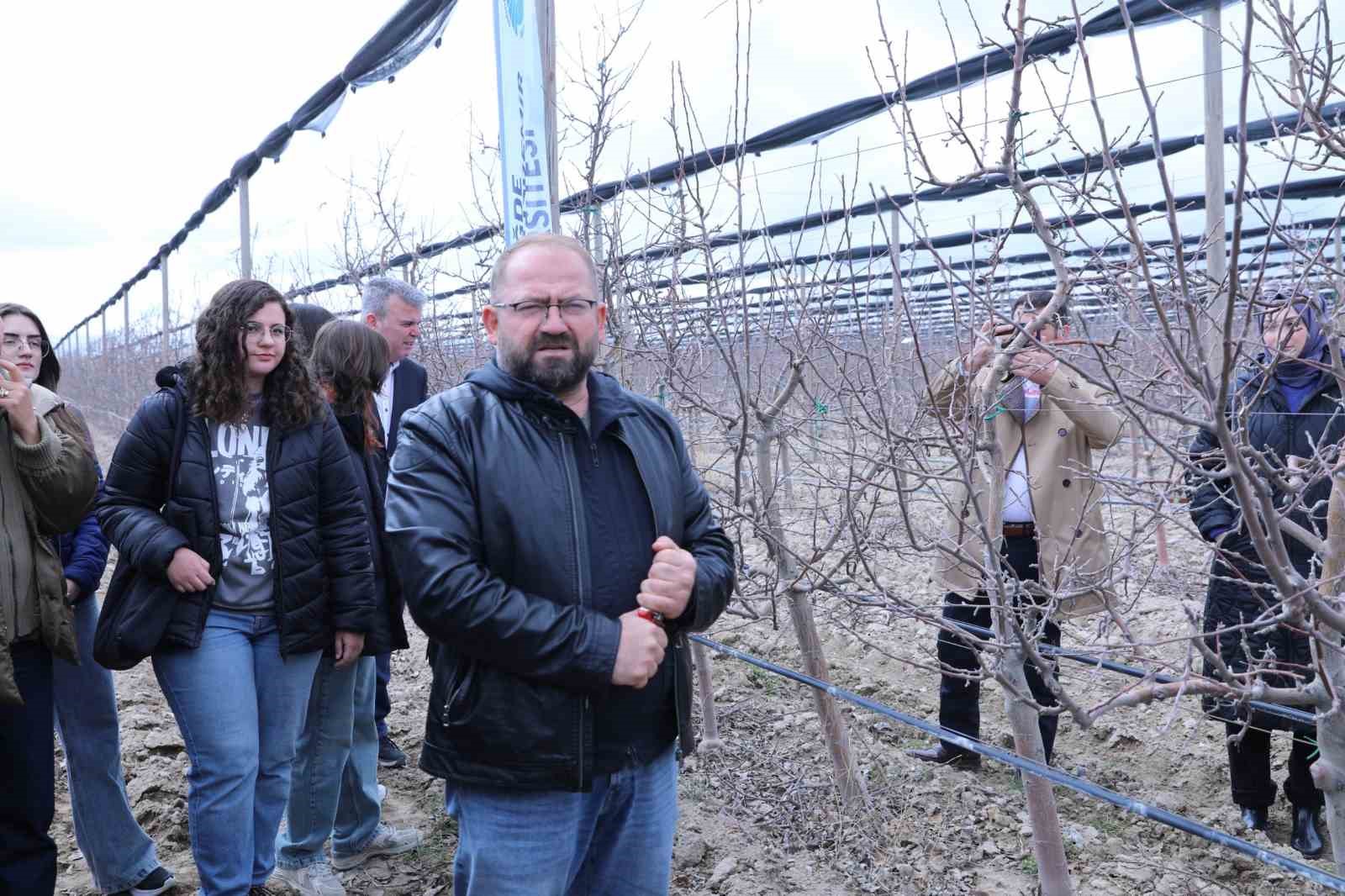 Meyve ağaçlarında doğru budama yöntemleri öğretildi
Meyve ağaçlarında doğru budama yöntemleri öğretildi