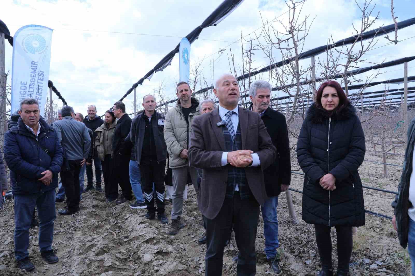 Meyve ağaçlarında doğru budama yöntemleri öğretildi
Meyve ağaçlarında doğru budama yöntemleri öğretildi