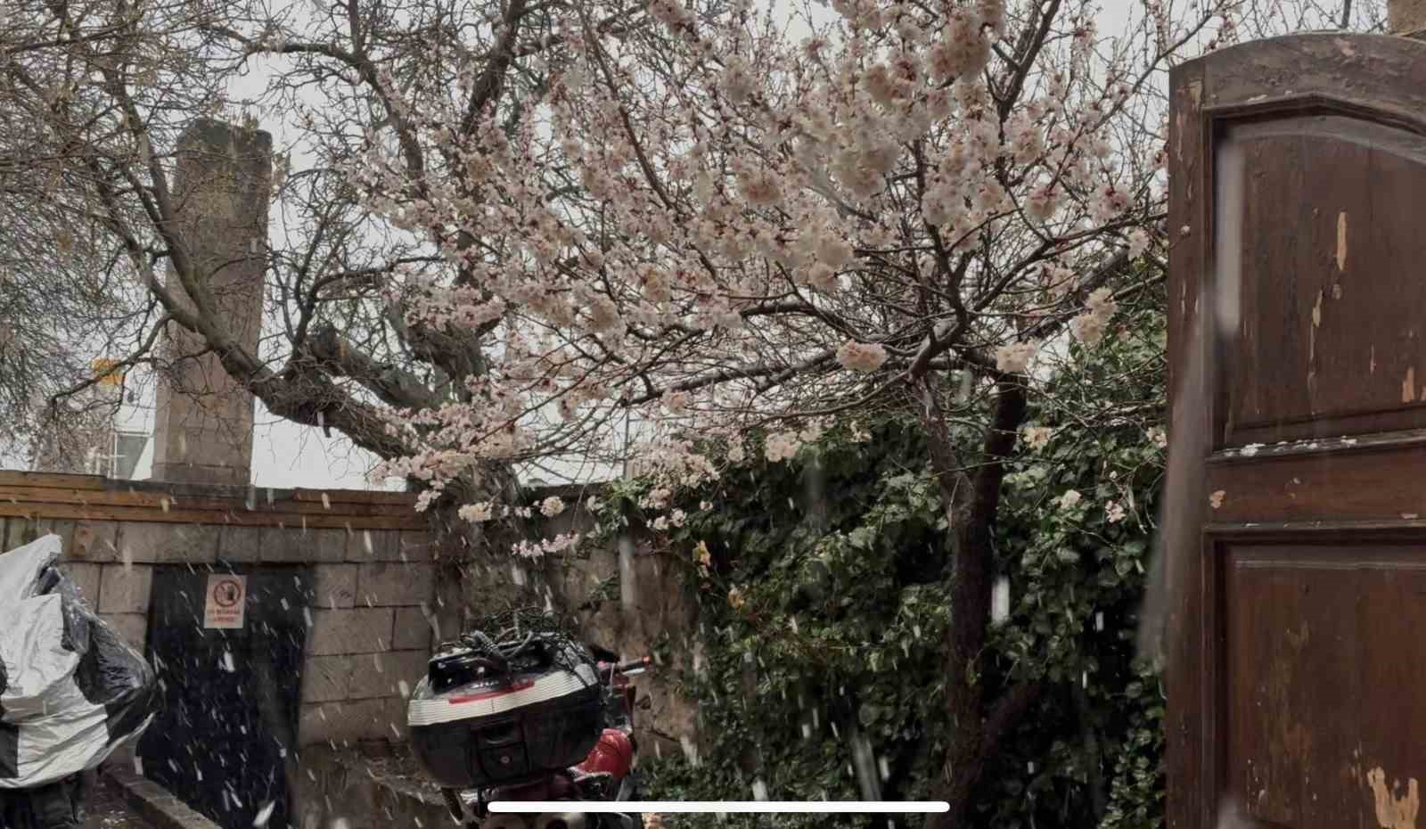 Meyve ağaçlarının çiçek açtığı Güzelyurt’ta kar yağışı

