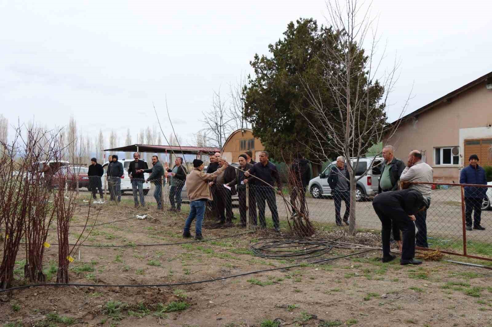 Meyve fidanı satışı 30 Mart’ta yapılacak
