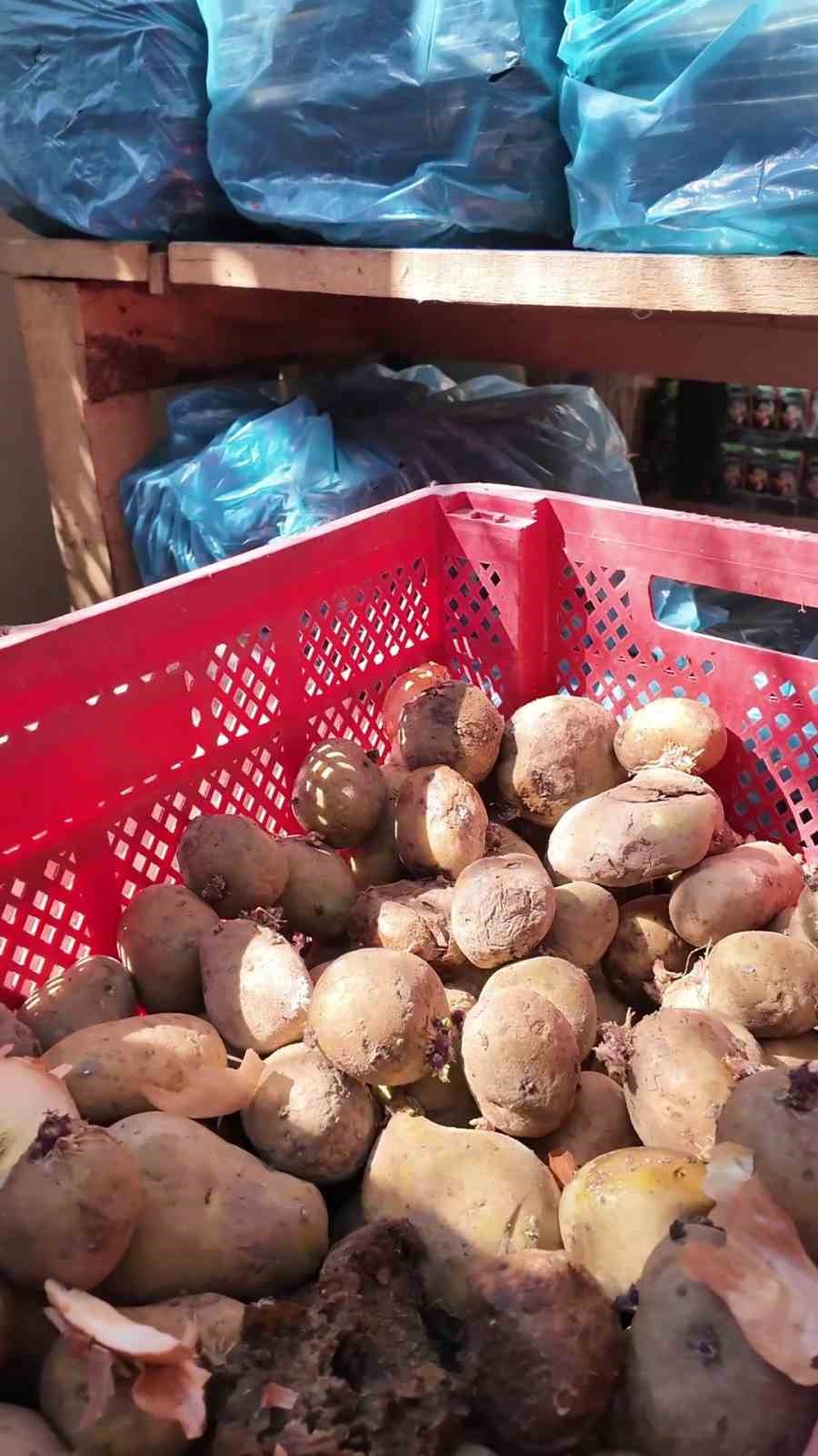 Mide bulandıran tencerenin bulunduğu yemekhane mutfağında üzerinde sinekler uçuşan çürümüş patatesler zabıta ekiplerini hayrete düşürdü
