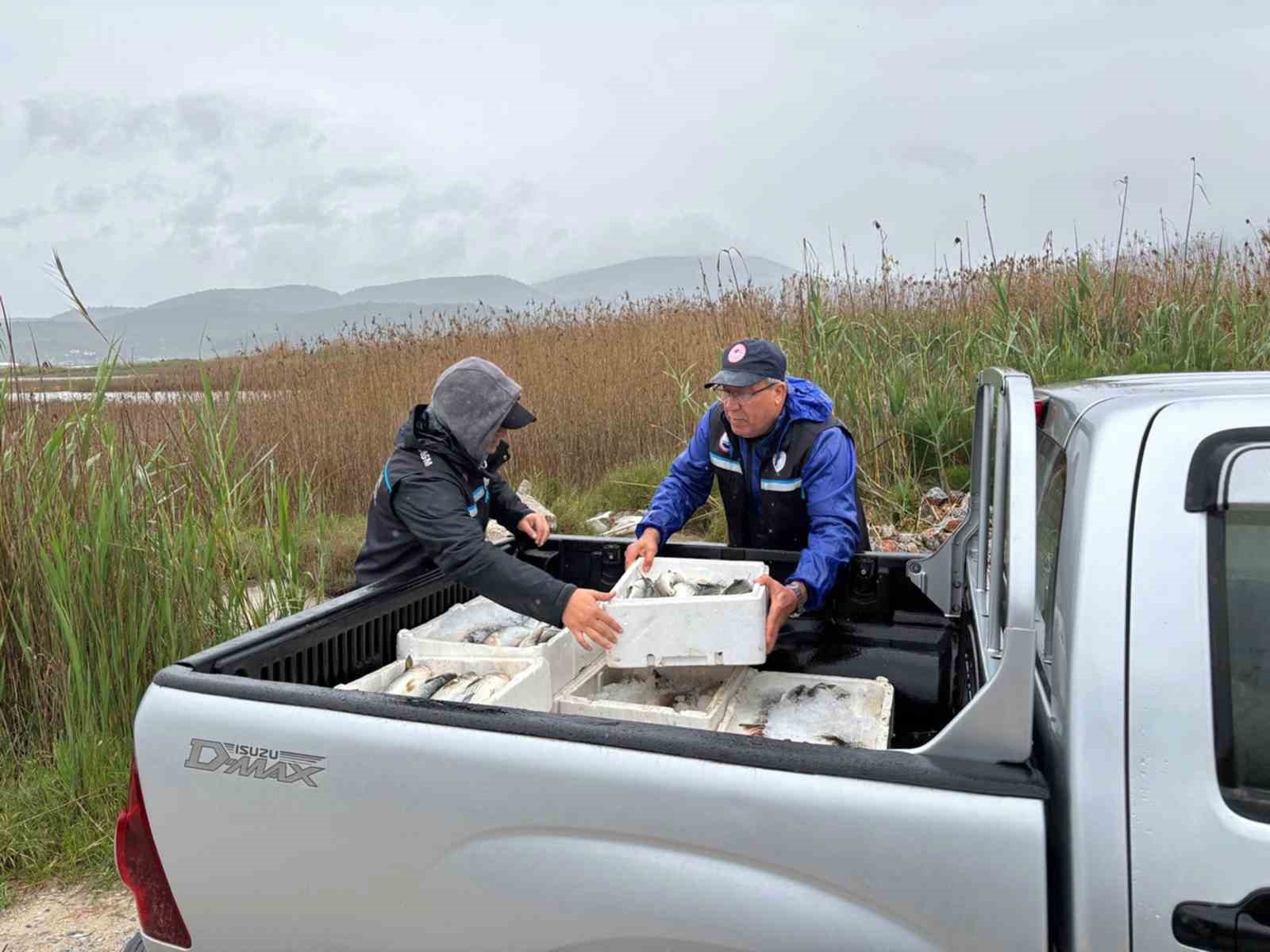 Milas’ta kaçak avcılığa geçit yok: 80 kilo kefal balığına el konuldu
