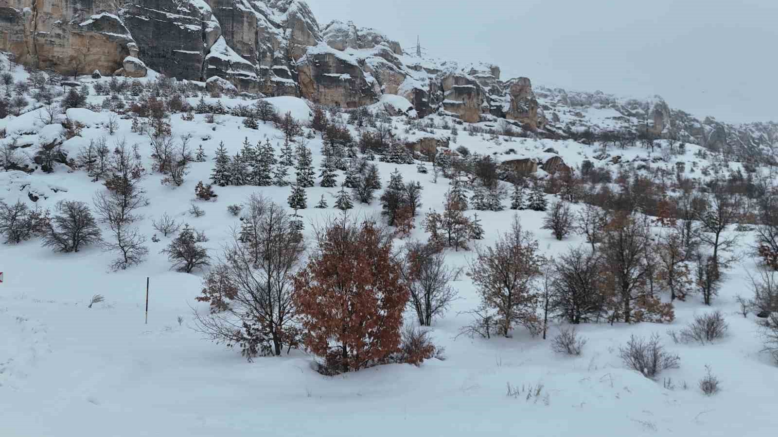 Milyonlarca yıllık vadi beyaza büründü
