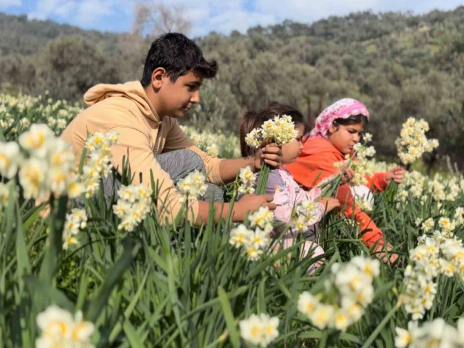 Mis kokulu nergis bilime de ilham kaynağı oluyor
Mis kokulu nergis bilime de ilham kaynağı oluyor