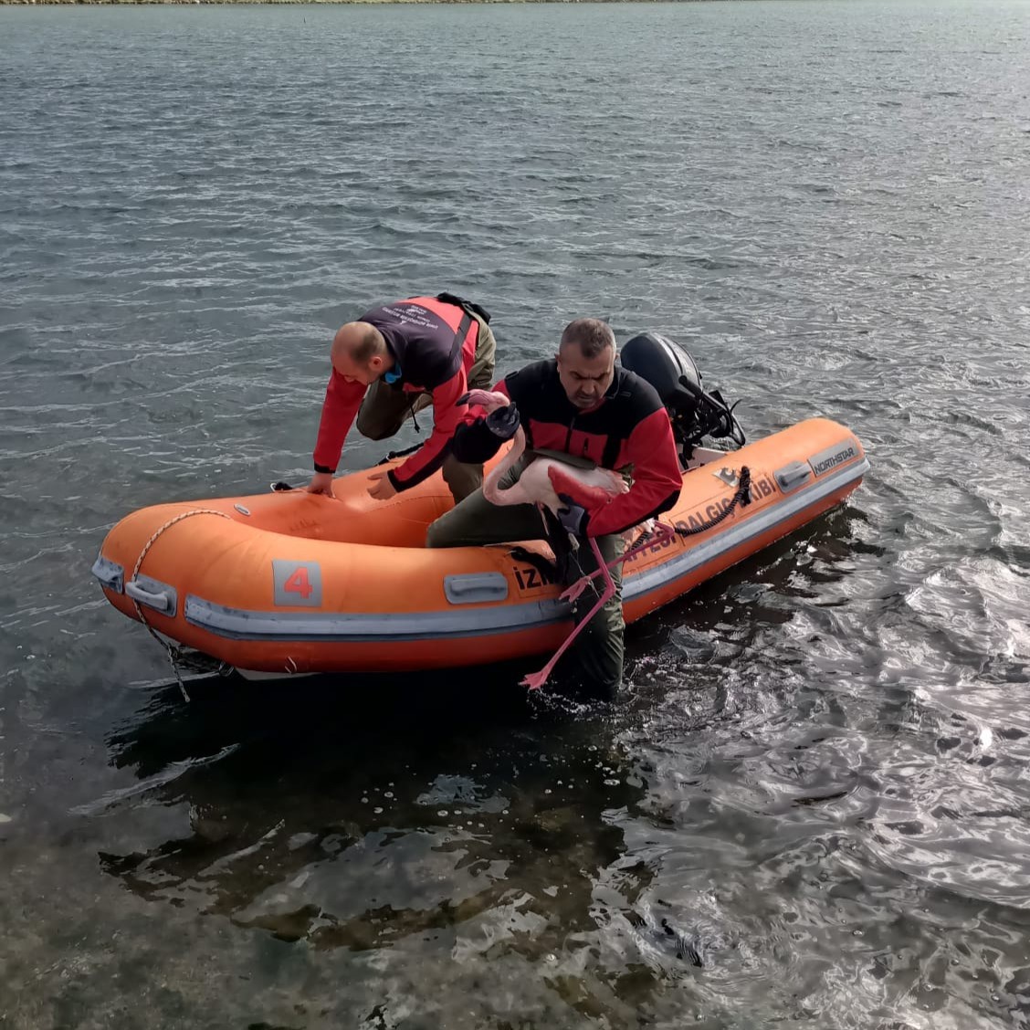 Misina tuzağından özgürlüğe
