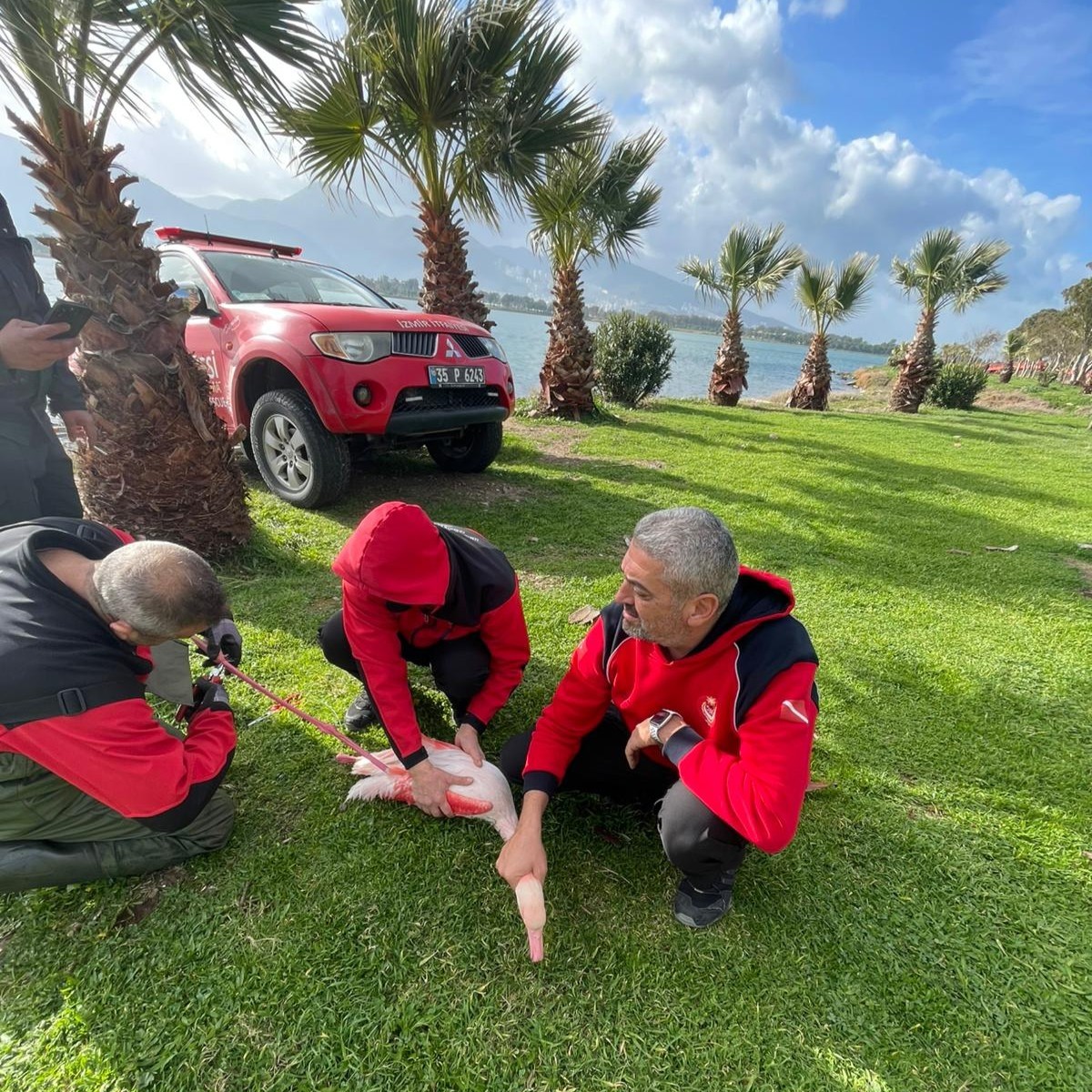 Misina tuzağından özgürlüğe
