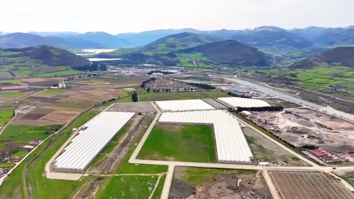 Modern tarımın yeni adresi Bafra: Karadeniz’de başarı hikayesi yazılıyor
