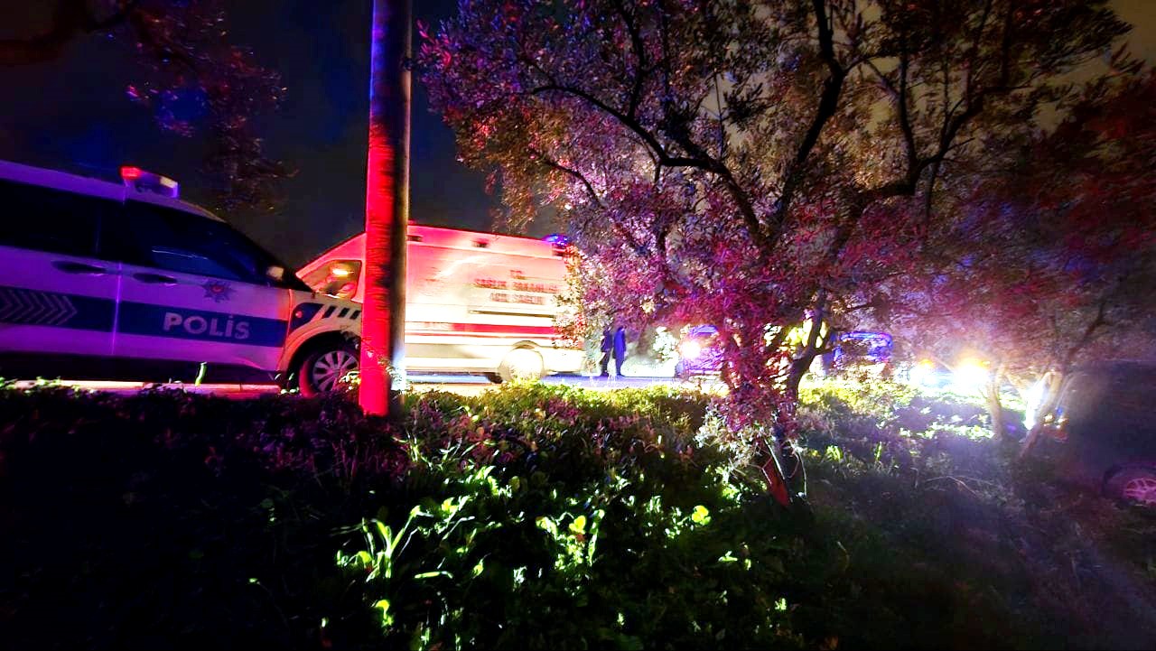 Mudanya’da kazadan kaçan sürücü zeytinliğe daldı
