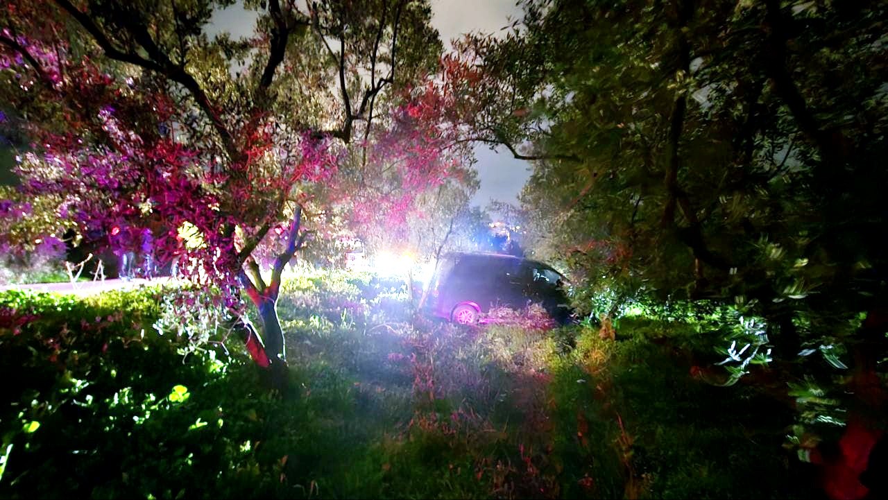 Mudanya’da kazadan kaçan sürücü zeytinliğe daldı
