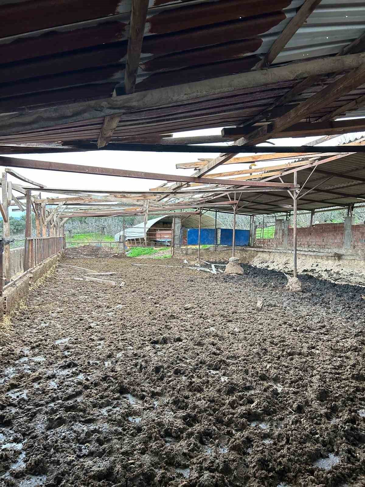 Mudanya’da lodos ve yangın paniği
