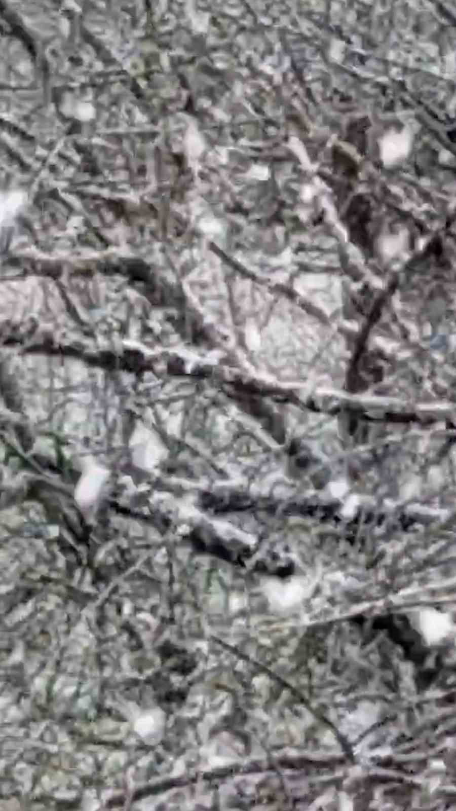 Mudurnu’da lapa lapa kar yağışı etkili oldu
