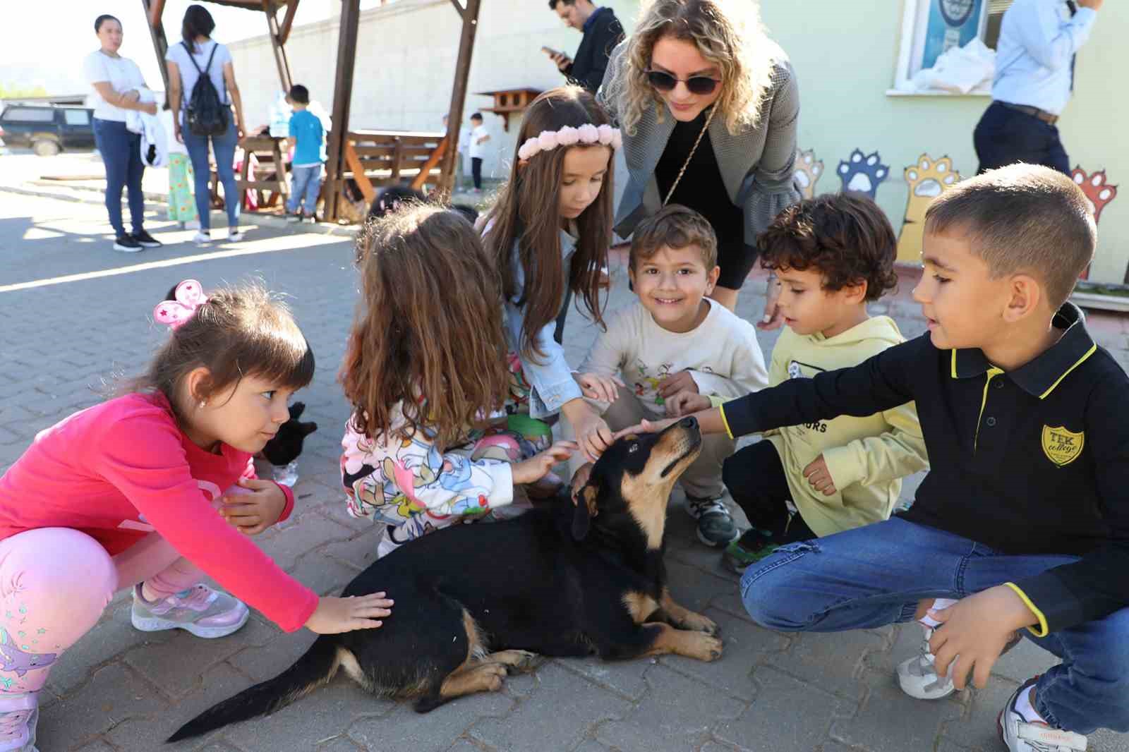 Muğla Büyükşehir 4 bin 34 can dostu sahiplendirdi
Muğla Büyükşehir 4 bin 34 can dostu sahiplendirdi