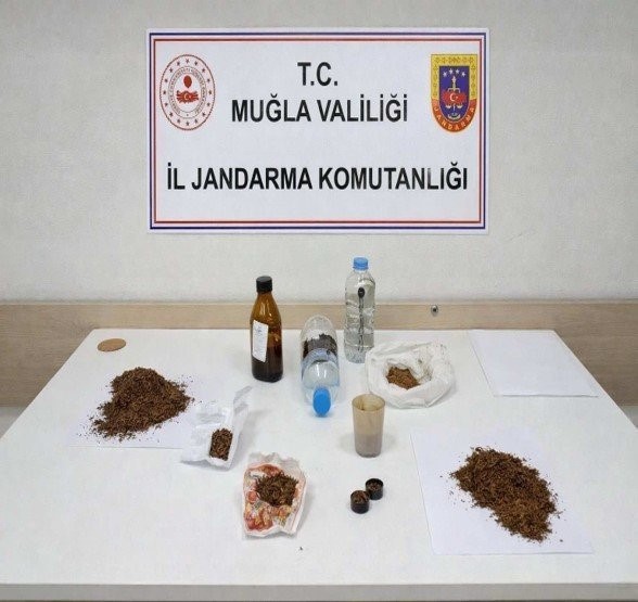 Muğla Jandarmasından zehir tacirlerine Mart ayı darbesi: 173 gözaltı
