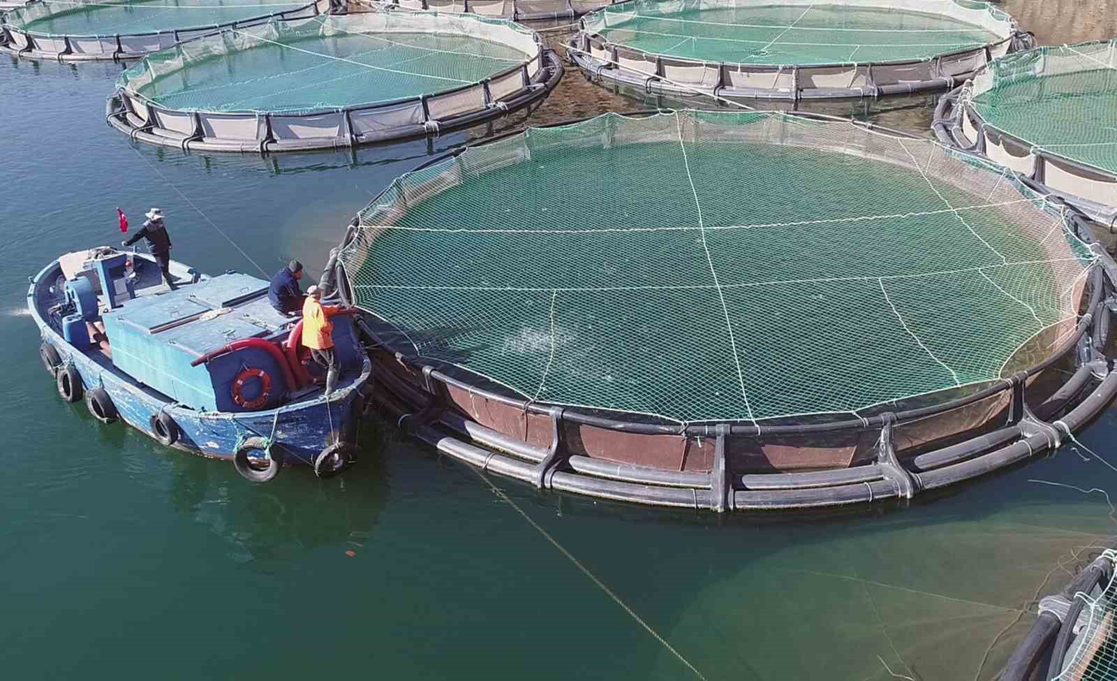 Muğla Şubat ayında 102 milyon dolar ihracat gerçekleştirdi
