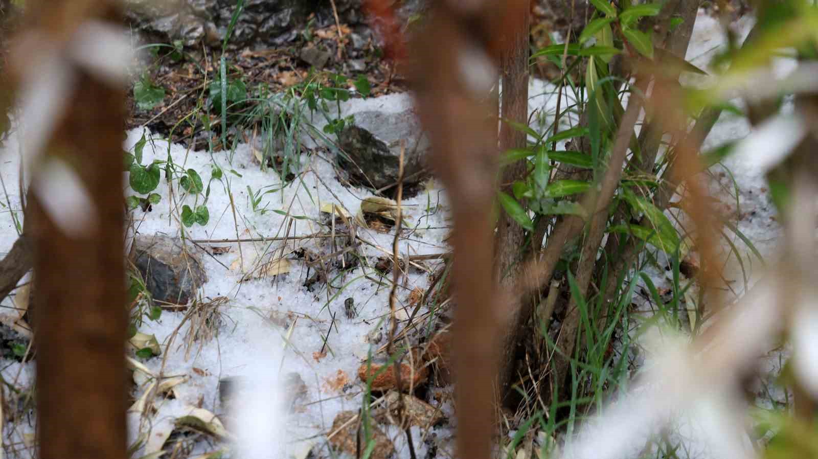 Muğla’da dolu sürprizi
