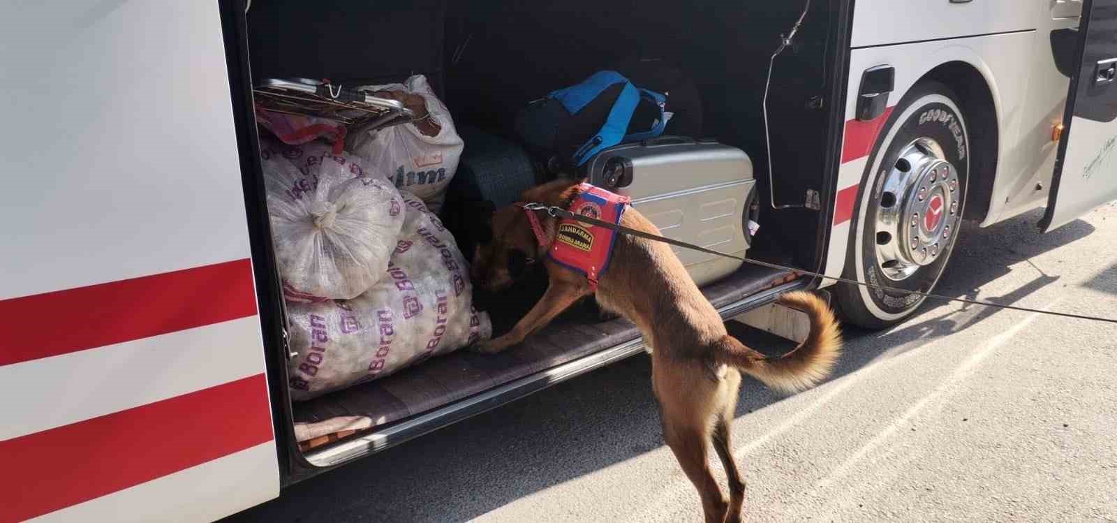 Muğla’da kaçakçılara geçit yok: 1 haftada 6 operasyon
