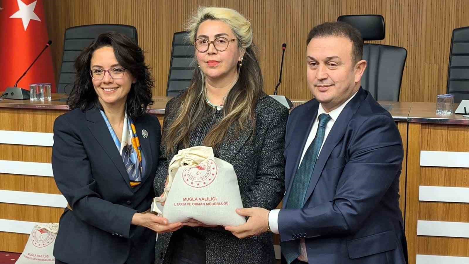 Muğla’da kadın çiftçilere karabuğday desteği 35 dönüm arazide üretim başlıyor
Muğla’da kadın çiftçilere karabuğday desteği 35 dönüm arazide üretim başlıyor