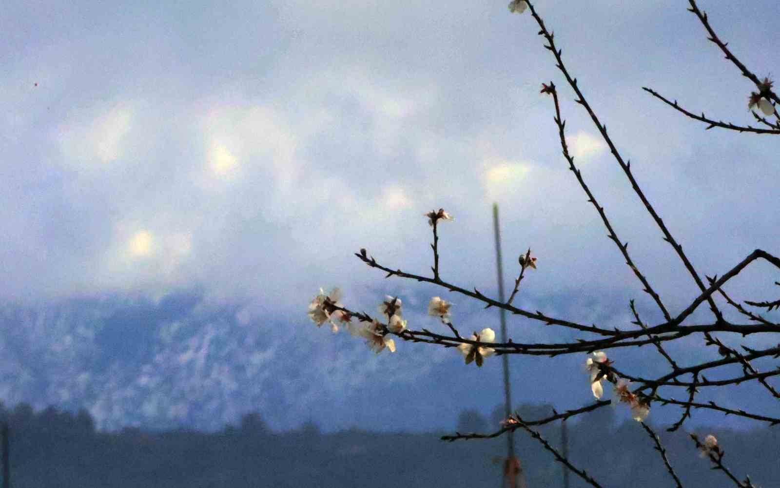 Muğla’da kış ve bahar aynı karede
