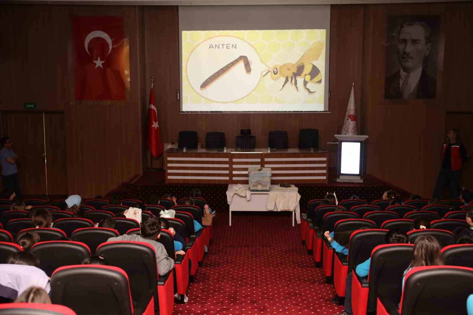 Muğla’da minik öğrenciler arıları ve sağlıklı beslenmeyi öğrendi
Muğla’da minik öğrenciler arıları ve sağlıklı beslenmeyi öğrendi