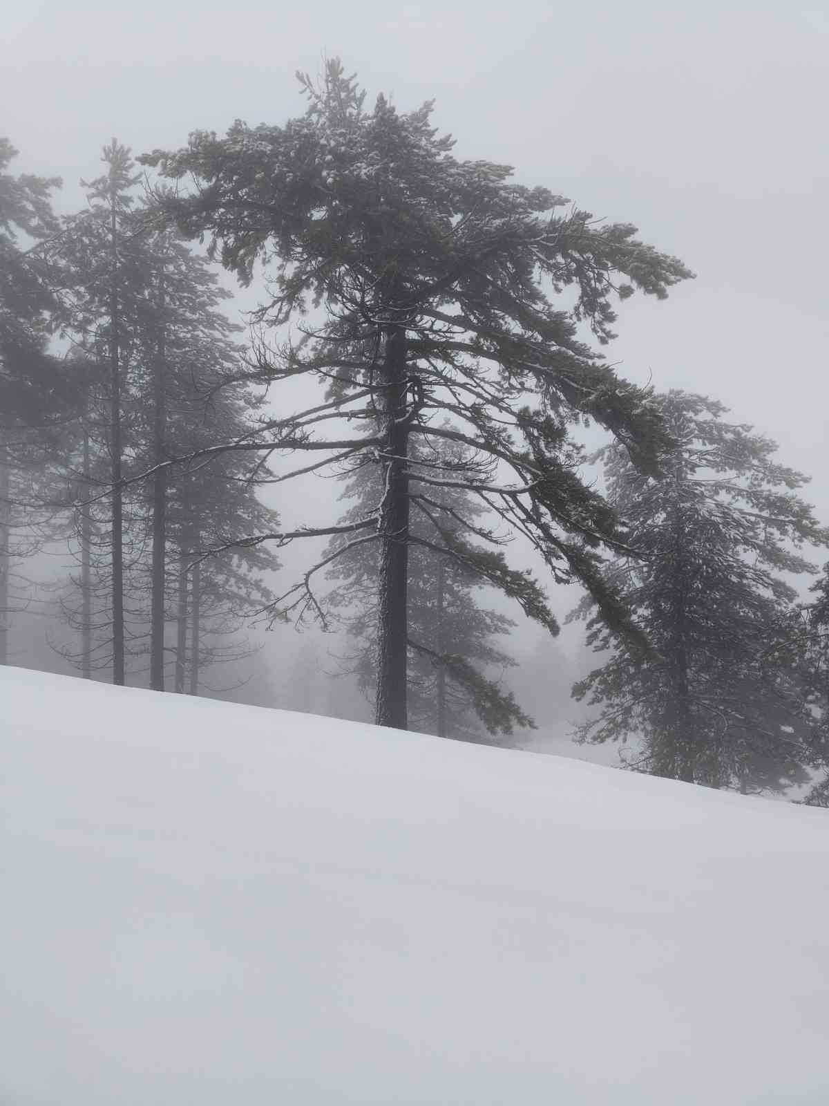 Muğla’da Nisan sürprizi Göktepe dağı beyaza büründü
