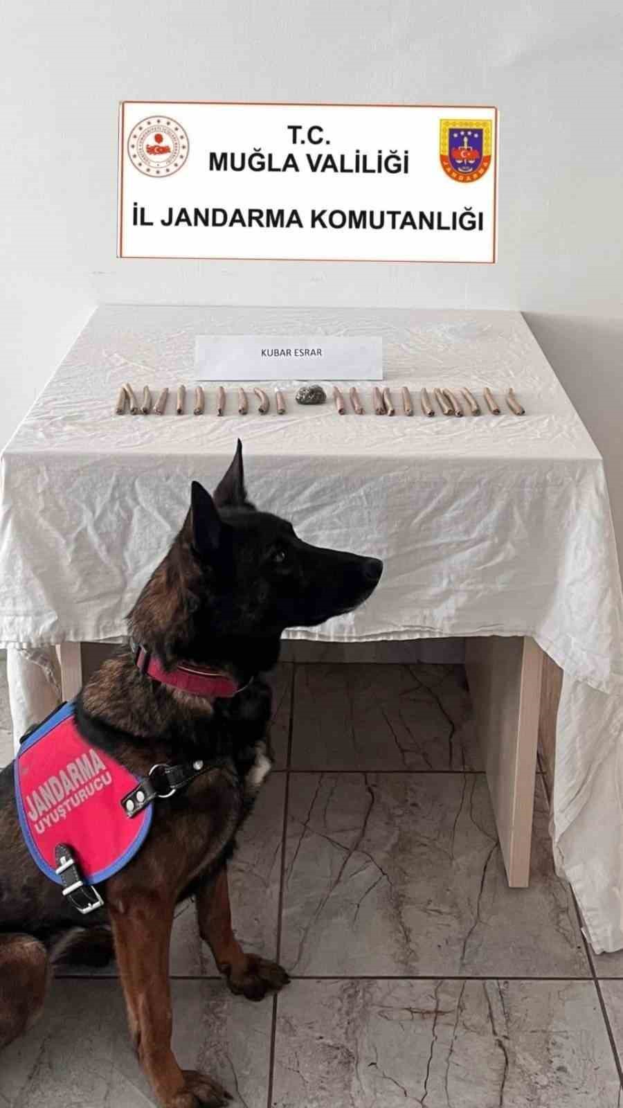 Muğla’da uyuşturucu operasyonu: 7 kişi tutuklandı
