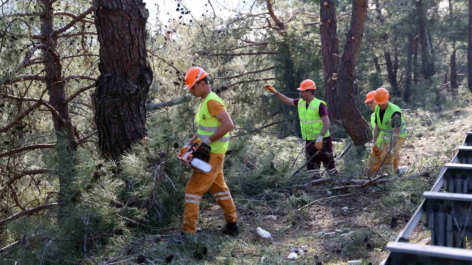 Muğla’da yangın sezonu öncesi Sakar Geçidi’nde riskli dallar temizleniyor

