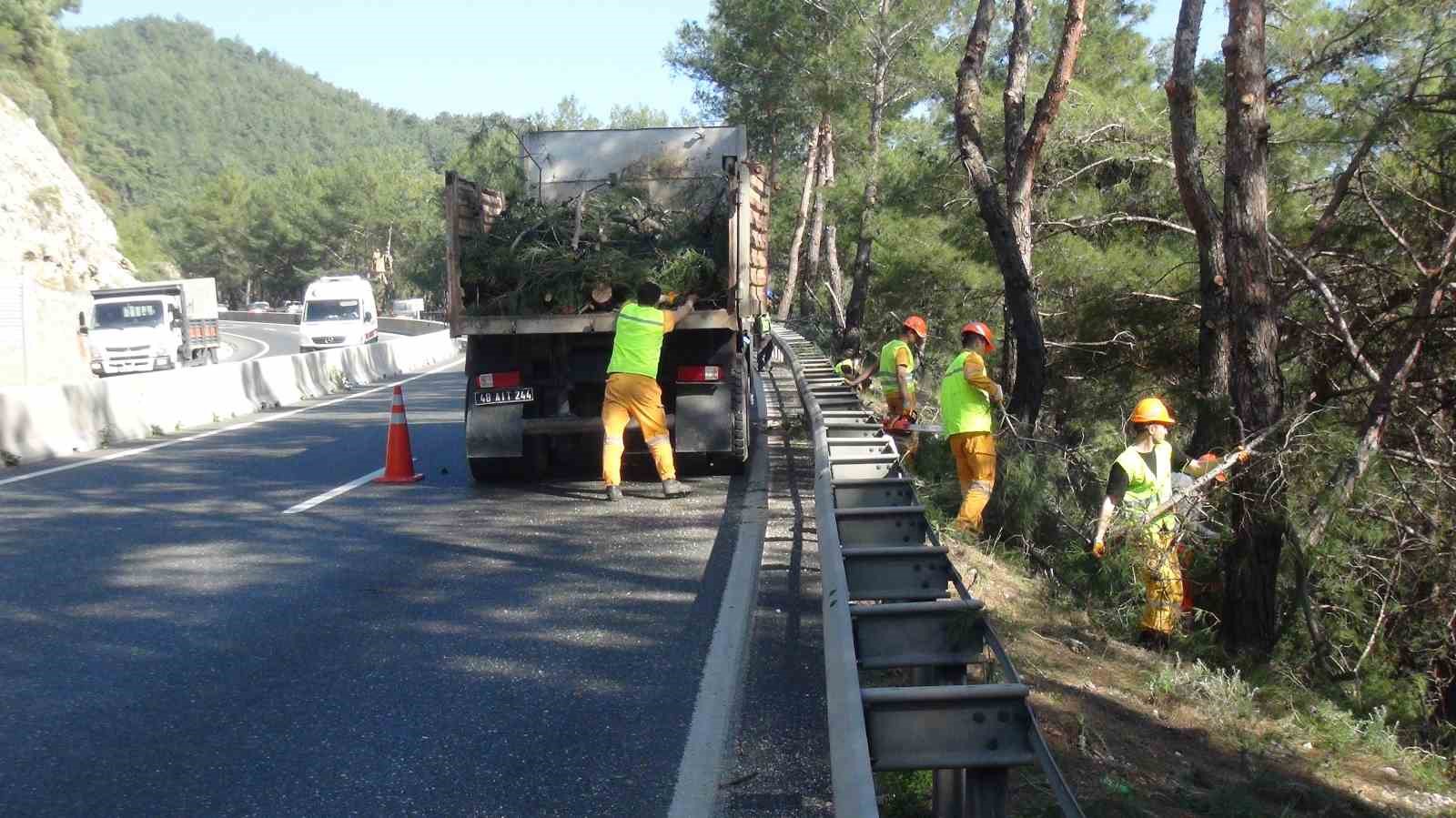 Muğla’da yangın sezonu öncesi Sakar Geçidi’nde riskli dallar temizleniyor
