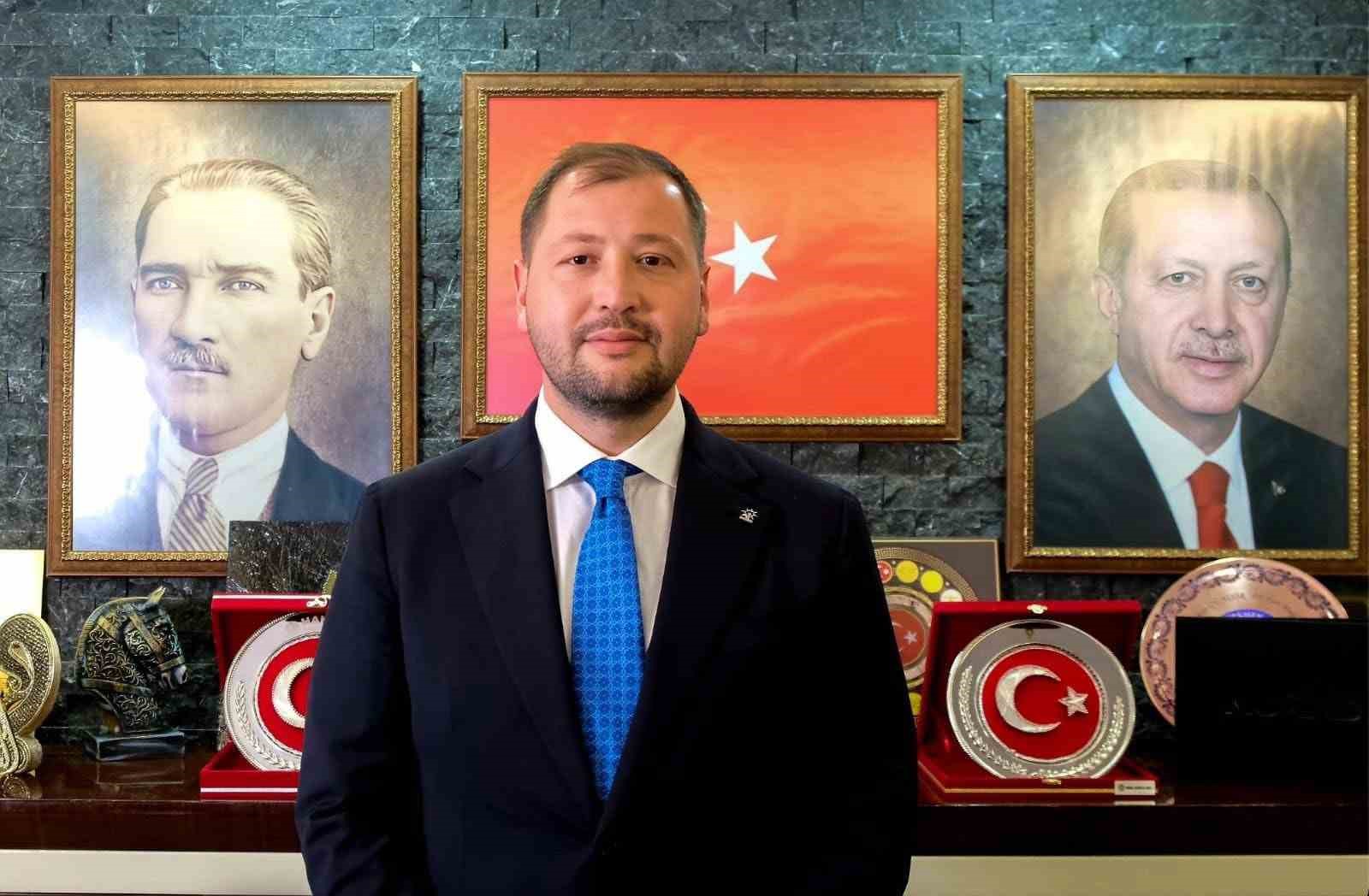 Muğla’da "zeytin kesim" tartışmasına, valilik soruşturma başlattı
