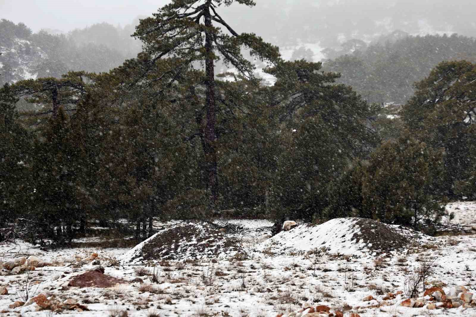 Muğla’nın yüksek kesimlerinde kar yağışı etkili olmaya başladı
