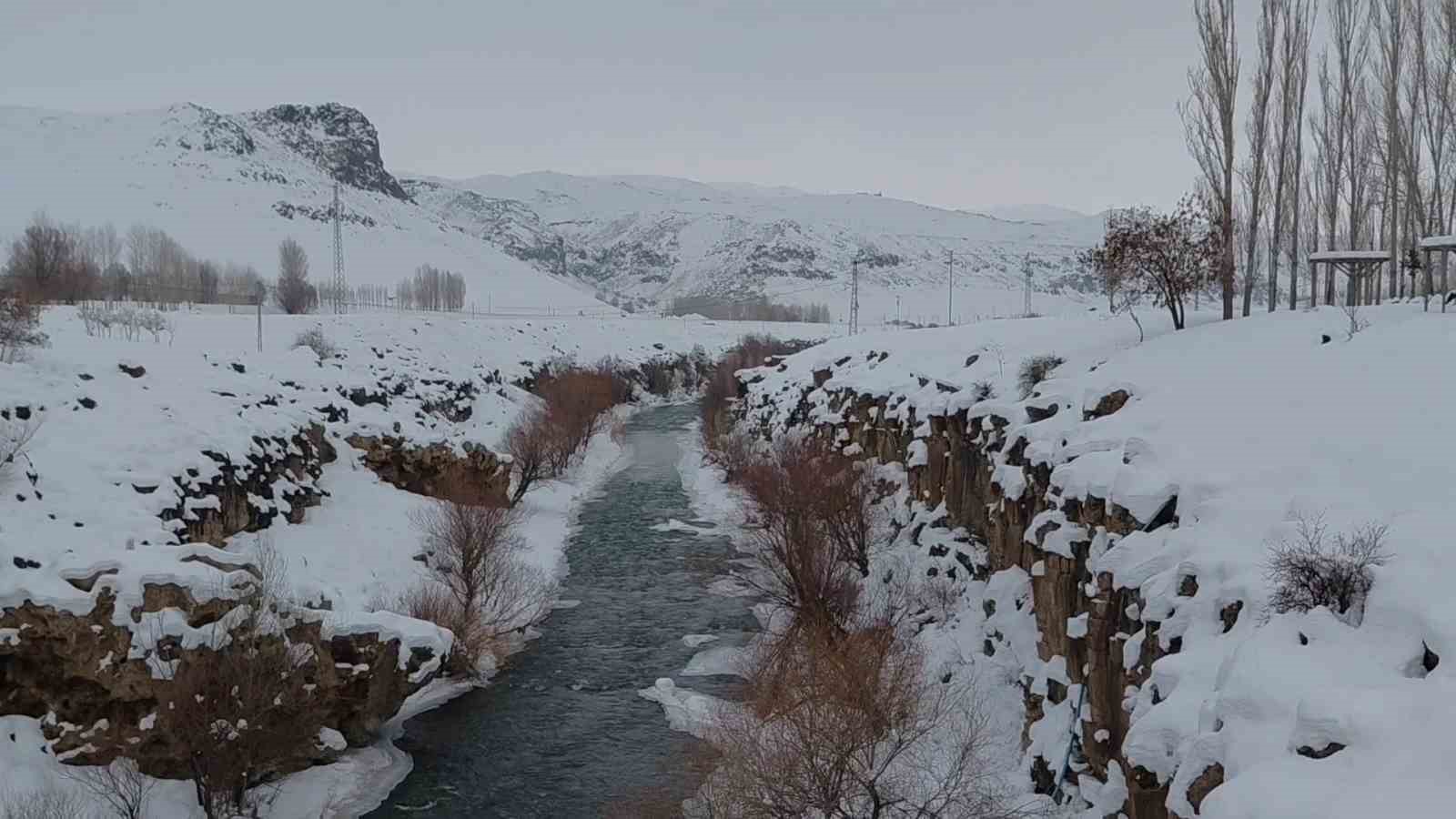 Muradiye Şelalesi eksi 12 derecede buz tuttu
