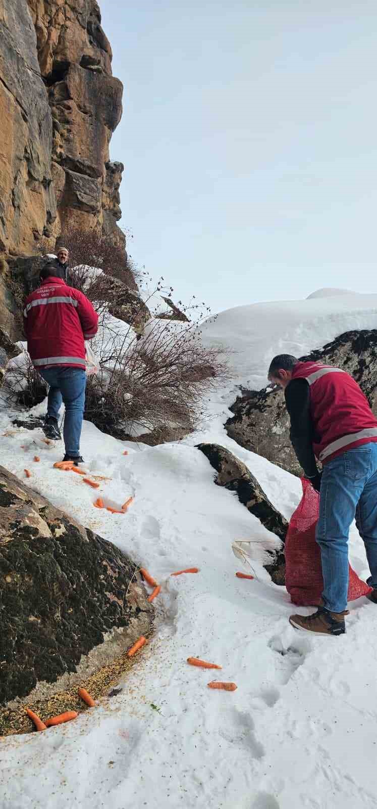 Muradiye’de yaban hayvanları için doğaya yem bırakıldı

