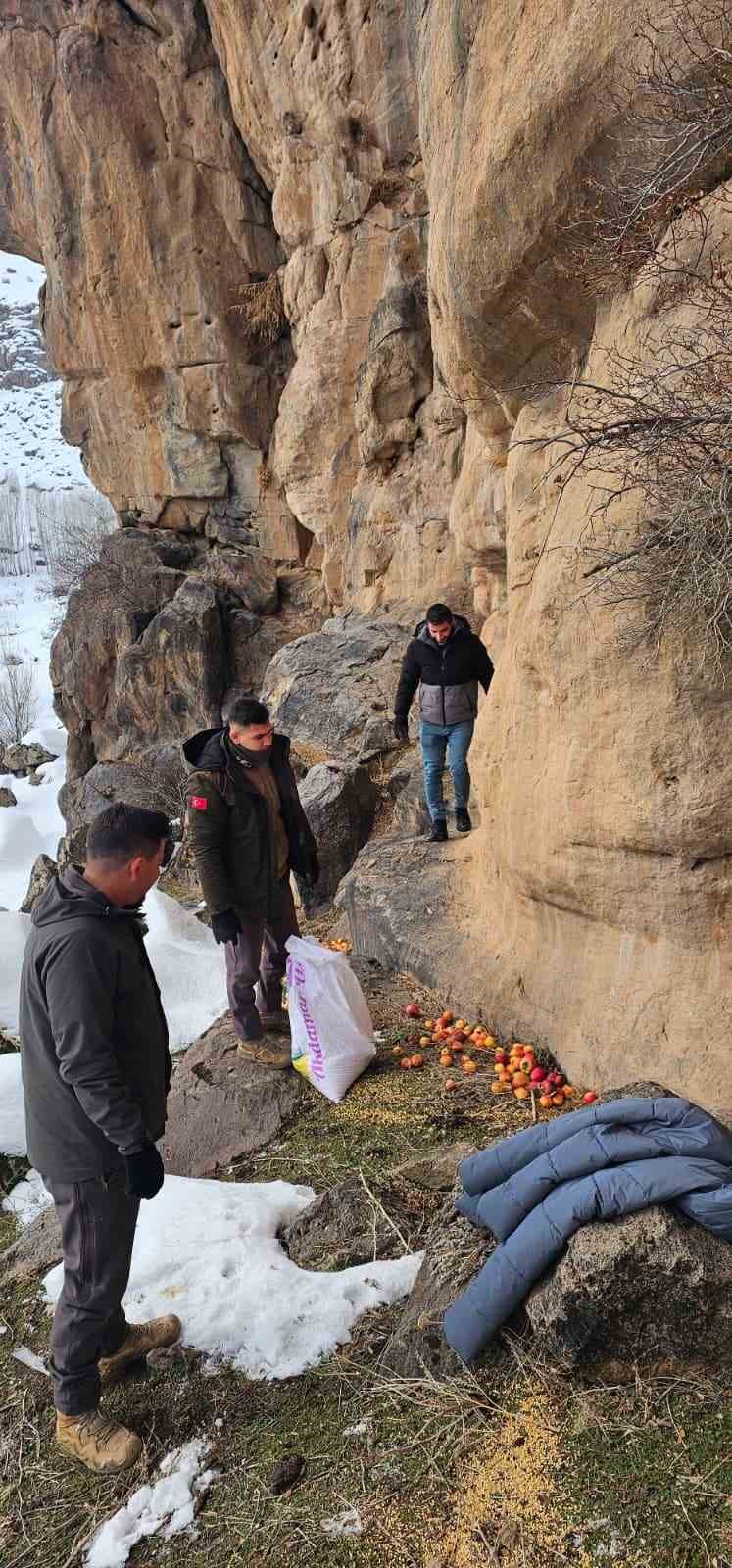 Muradiye’de yaban hayvanları için doğaya yem bırakıldı
