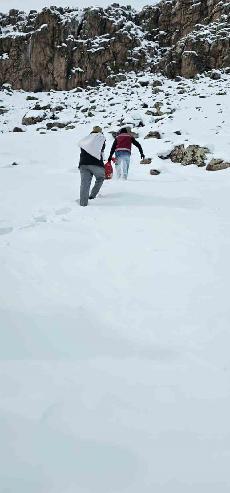 Muradiye’de yaban hayvanları için doğaya yem bırakıldı
