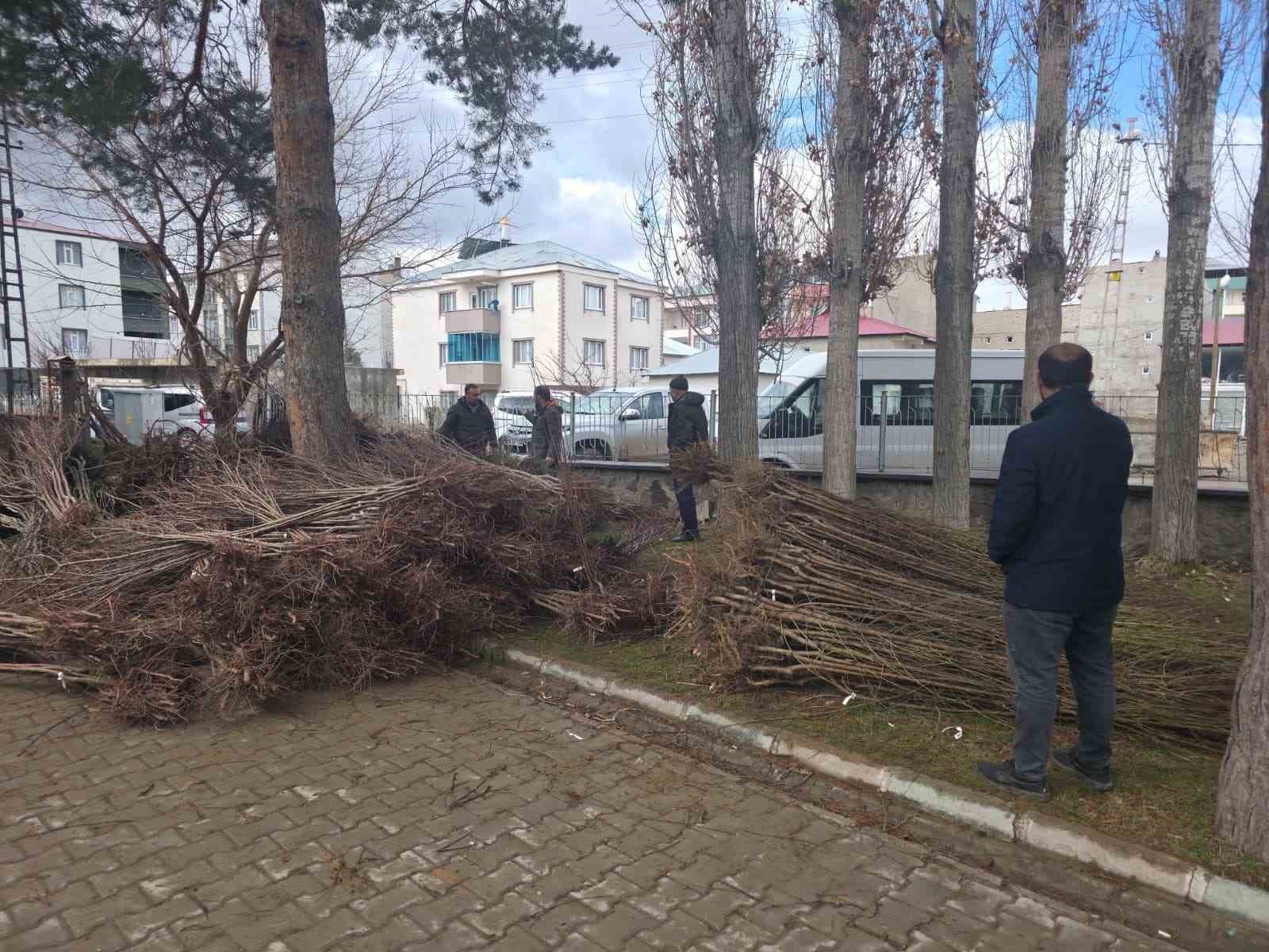 Muradiye’de yüzde 90 hibeli 50 bin adet meyve fidanı dağıtımı yapıldı
