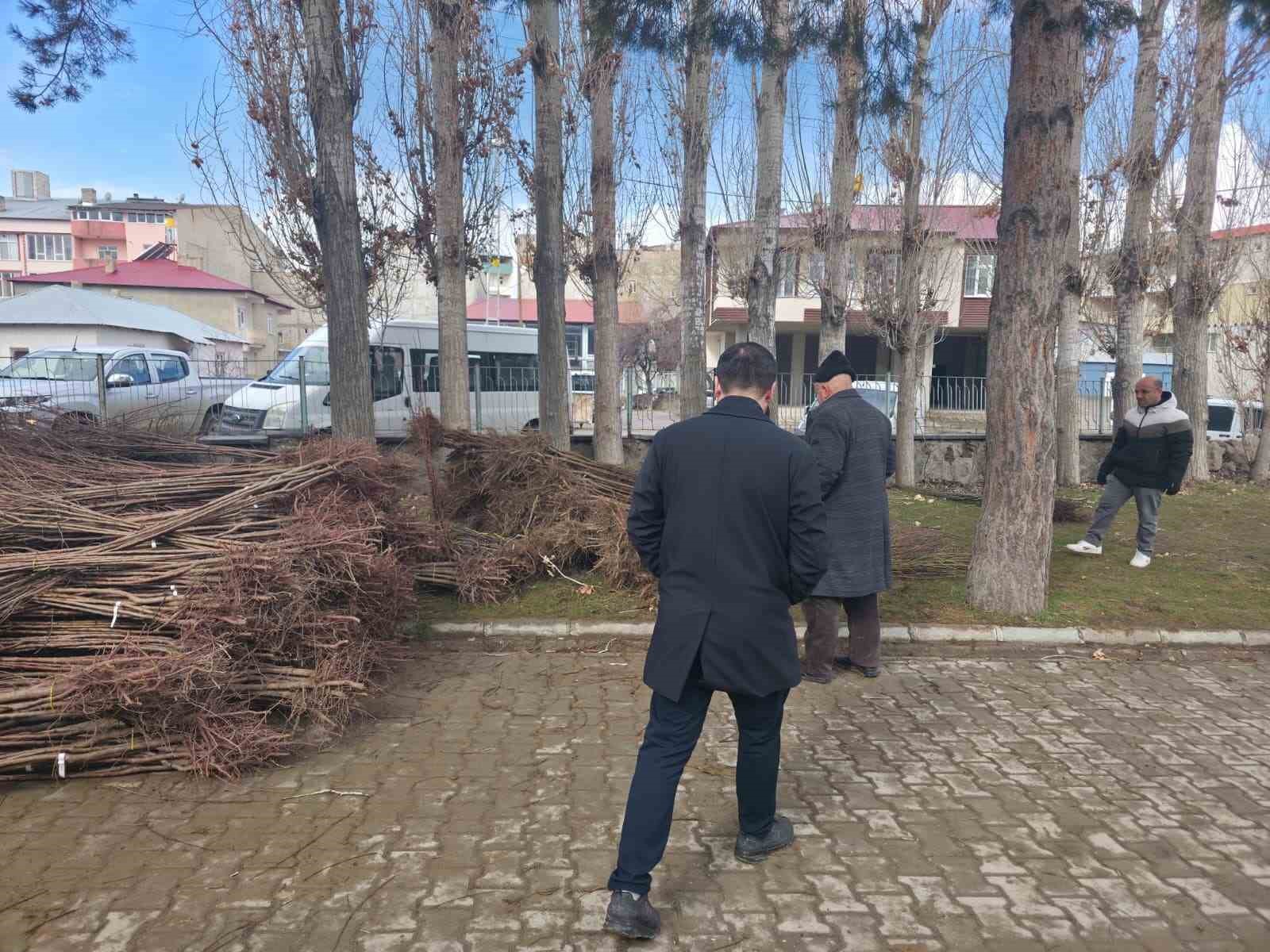 Muradiye’de yüzde 90 hibeli 50 bin adet meyve fidanı dağıtımı yapıldı
