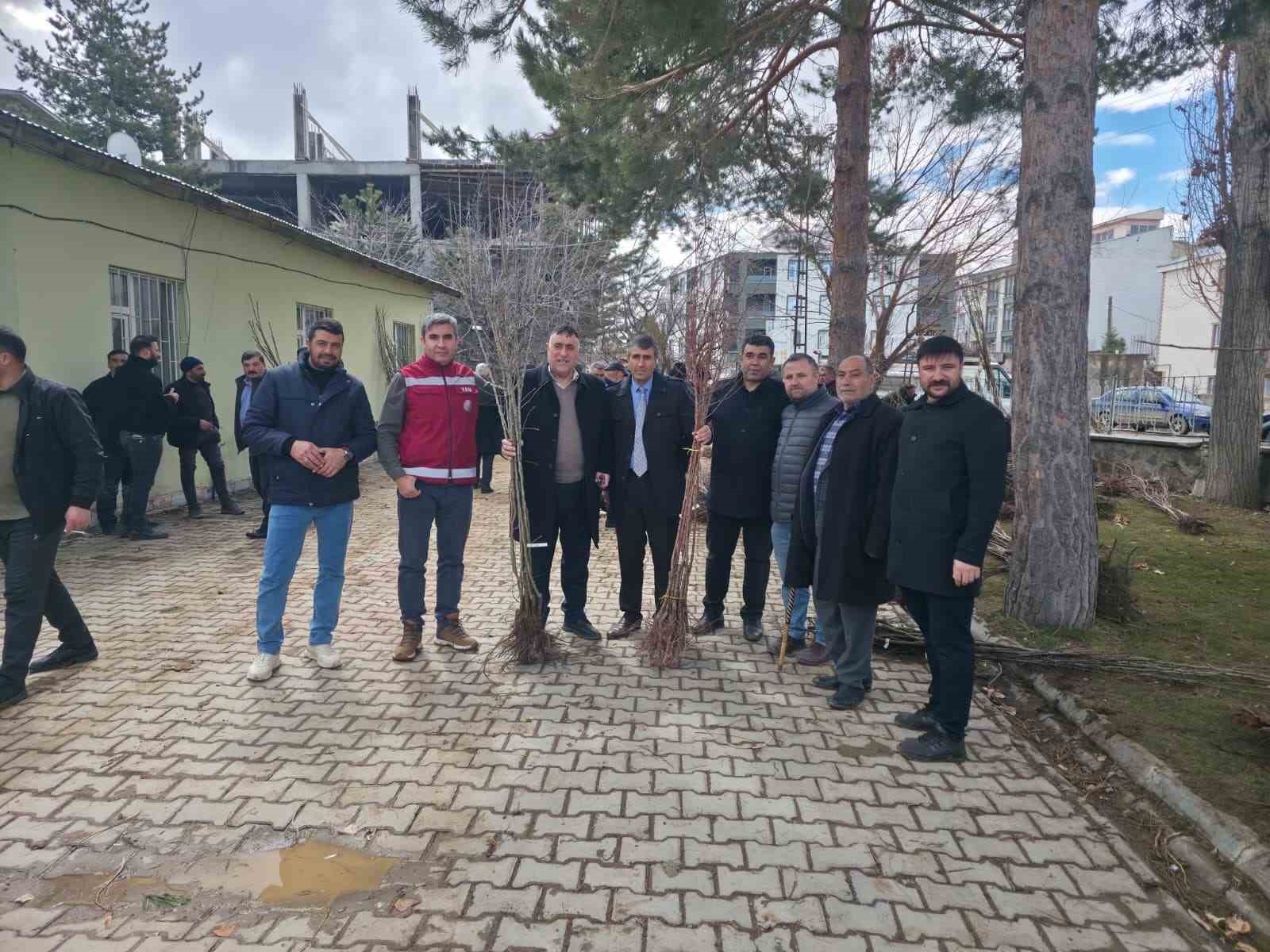 Muradiye’de yüzde 90 hibeli 50 bin adet meyve fidanı dağıtımı yapıldı
