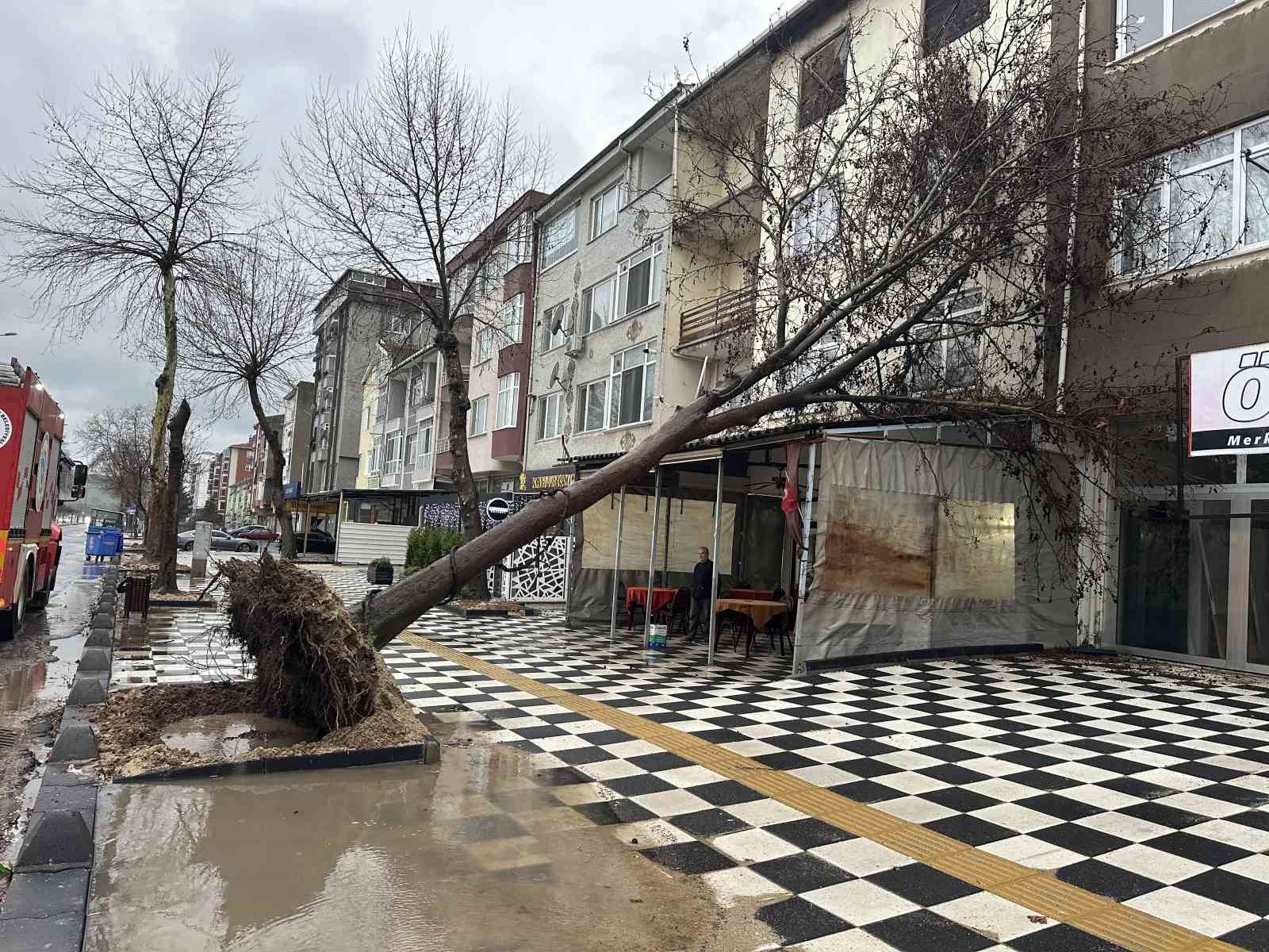 Muratlı’da ağaç kahvehanenin çatısına devrildi
