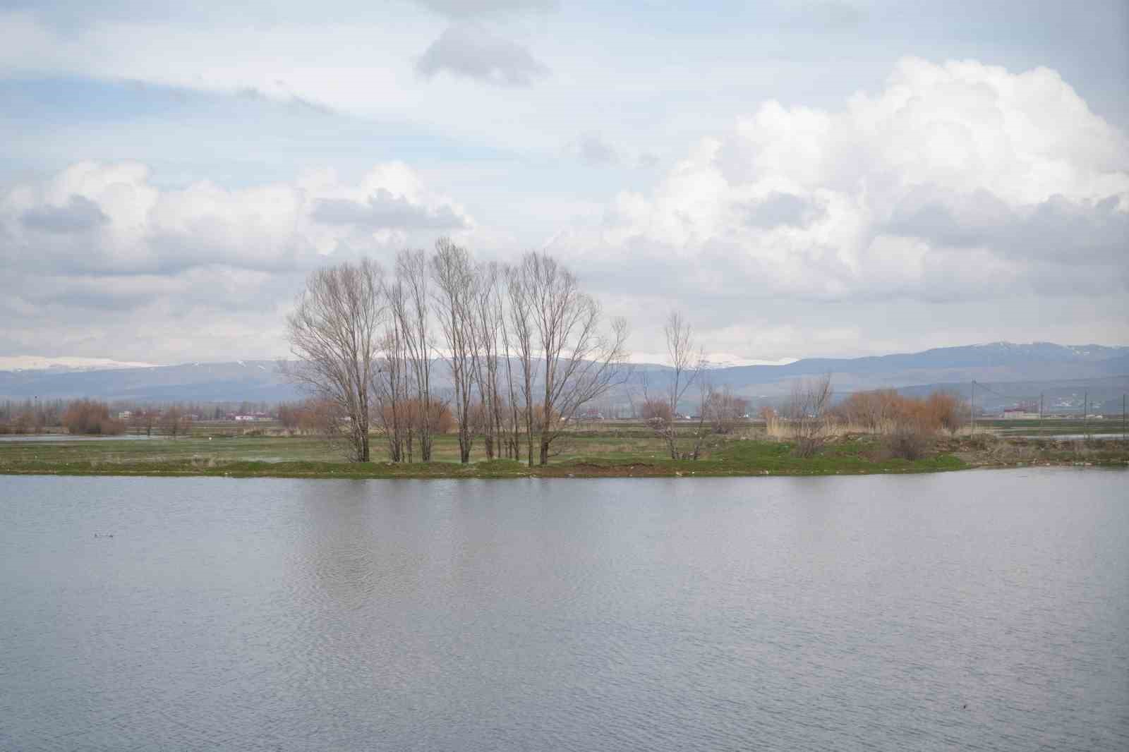 Muş Ovası’nda kar erimesi ve sağanak tarım arazilerini sular altında bıraktı
