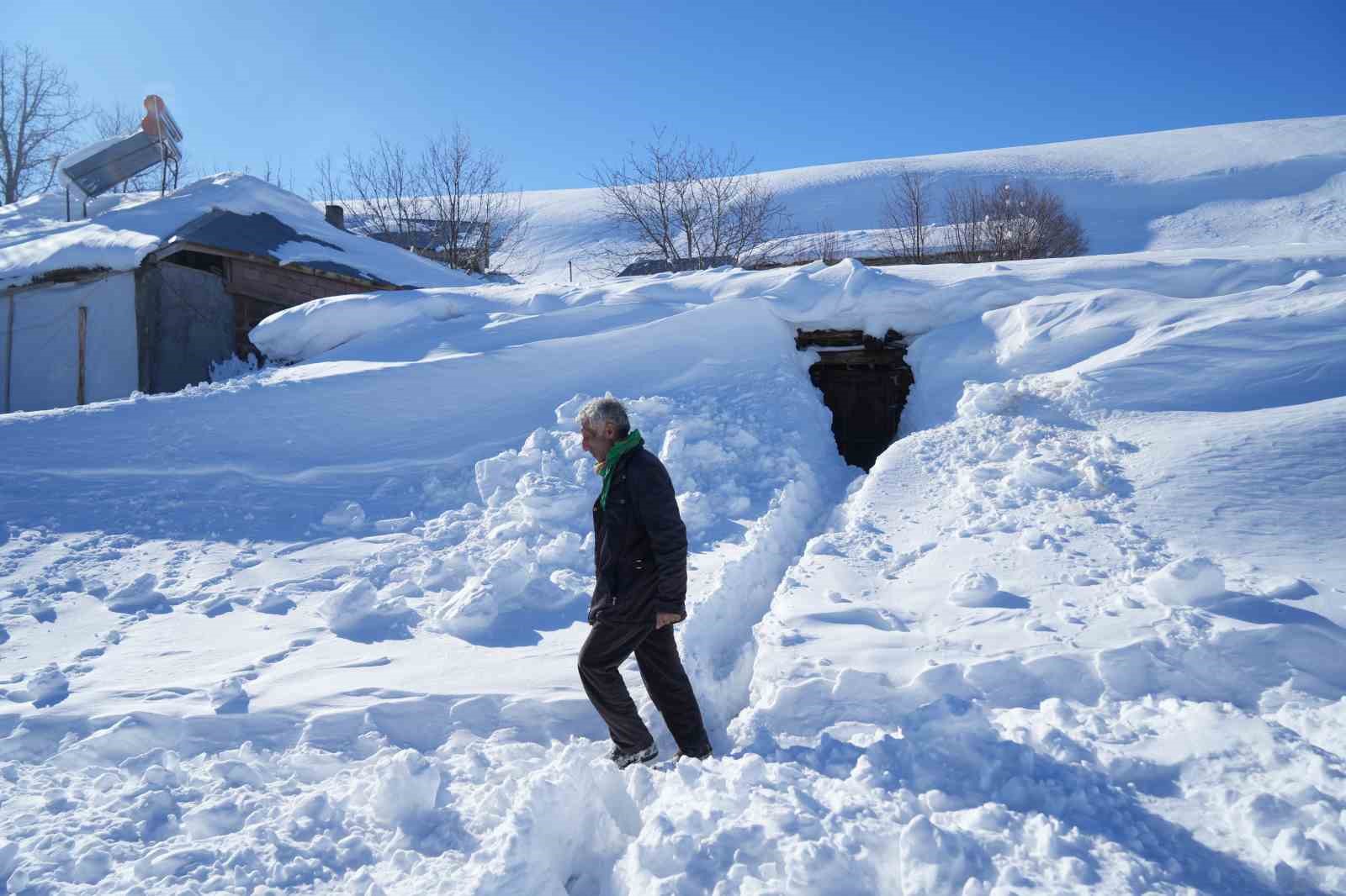 Muş’ta 1800 rakımlı köy kara gömüldü: Evler kar altında, ulaşım tünellerle sağlanıyor
